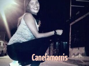 Canelamorris