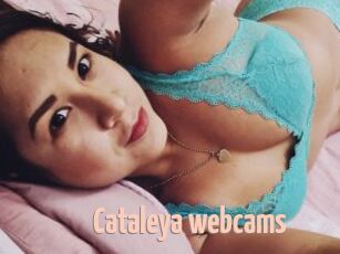 Cataleya_webcams