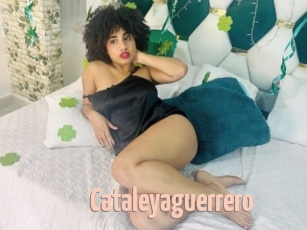 Cataleyaguerrero