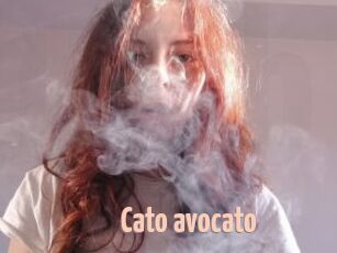 Cato_avocato