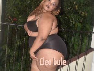 Cleo_bule