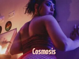 Cosmosis