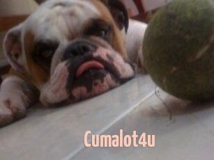 Cumalot4u