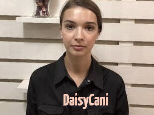 DaisyCani