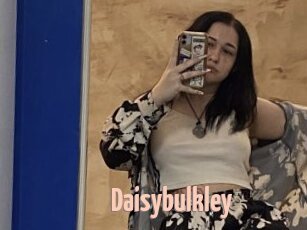 Daisybulkley