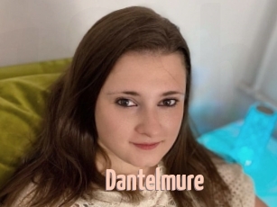 Dantelmure