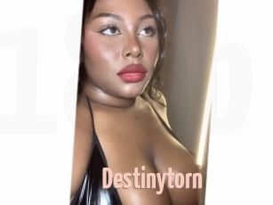 Destinytorn