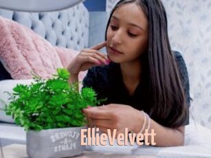 EllieVelvett