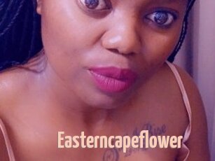 Easterncapeflower