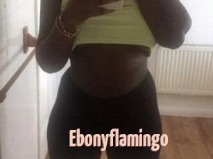Ebony_flamingo