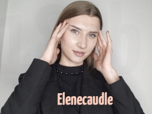 Elenecaudle