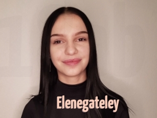 Elenegateley