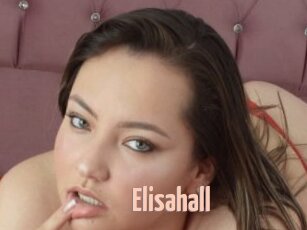 elisahall 18A blog