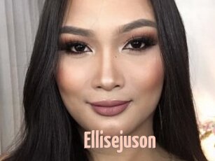 Ellisejuson