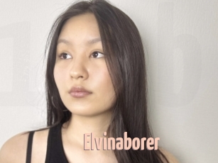 Elvinaborer