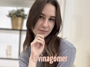 Elvinagomer