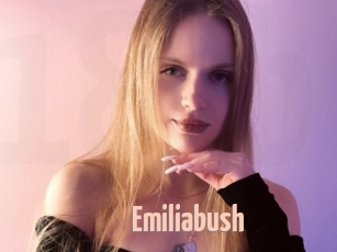 Emiliabush