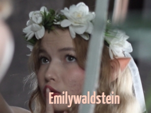 Emilywaldstein