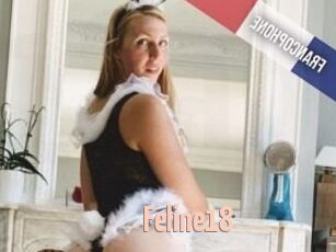 Feline18