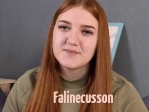 Falinecusson