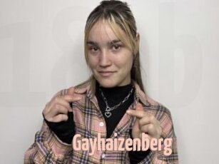 Gayhaizenberg