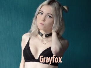 Grayfox