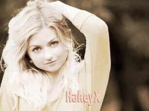 HakeyX
