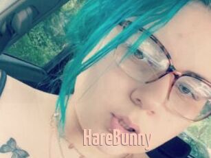 HareBunny