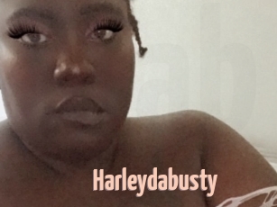 Harleydabusty