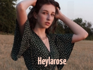 Heylarose