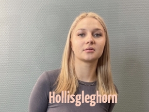 Hollisgleghorn