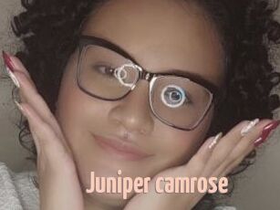 Juniper_camrose