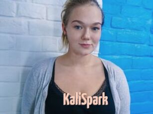 KaliSpark
