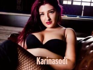 Karinasodi