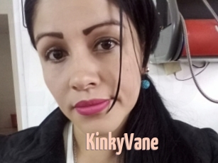 KinkyVane