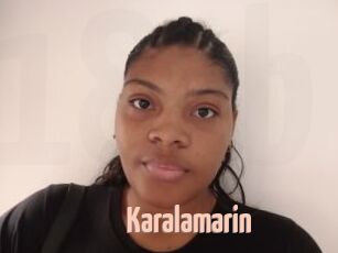 karalamarin 18A blog