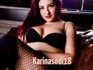 Karinasodi18