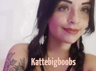 Kattebigboobs