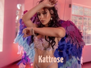 Kattrose