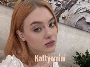 Kattyamini