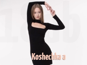 Koshechka_a