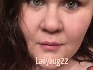 Ladybug22