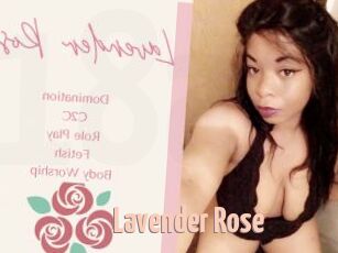 Lavender_Rose