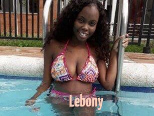 Lebony 18A blog