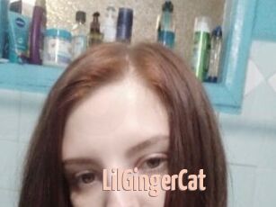 LilGingerCat