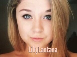 LillyLantana