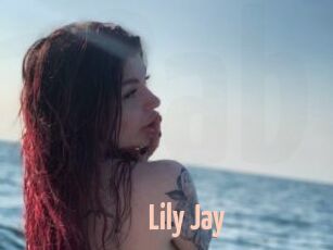 Lily_Jay