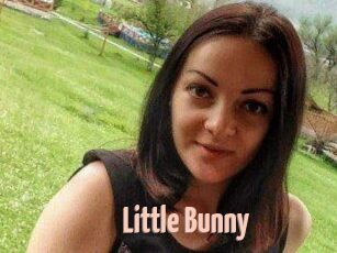 Little_Bunny_