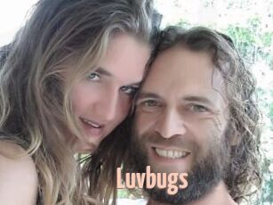 Luvbugs