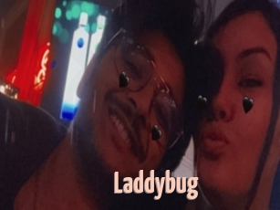 Laddybug